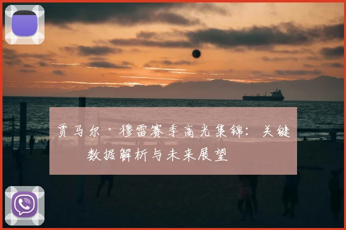 贾马尔·穆雷赛季高光集锦：关键球数据解析与未来展望